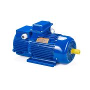 Электродвигатель 5MTH 400 М10 132/600 IM1003