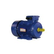 Электродвигатель 5АИ 100 L4 ED 4/1500 IM1081