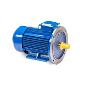 Электродвигатель 5АИ 100 L4 ED 4/1500 IM2081