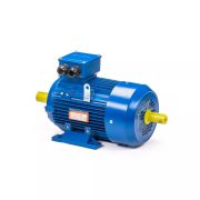 Электродвигатель 5АИ 100 L4 ED12ED12М 4/1500 IM2082