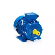 Электродвигатель ESQ 112 M2-GST-HT-H-T2 7,6/3000 IM1081