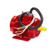 Электродвигатель ESQ 18,5,2-FR-400C-2hR 18,5/3000 IM1081