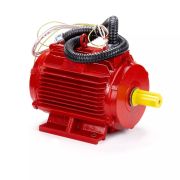 Электродвигатель ESQ 45,4-FR-400C-2hR 45/1500 IM1001