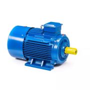 Электродвигатель 5АИ 200 М2 37/3000 IM1001
