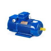 Электродвигатель 5MTH 400 М10 132/600 IM1004