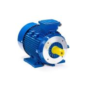 Электродвигатель ESQ 100 LB4-SDN- 3/1500 IMB34