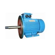Электродвигатель 5АИ 160 S2Ж 15/3000 IM2009