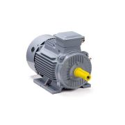 Электродвигатель ESQ PR 112 MА6 GST-Б1-S12-IE2 3/1000 IM1081