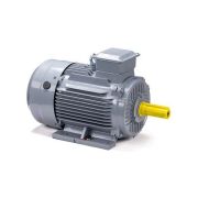 Электродвигатель ESQ PR 160 M2 GST-Б1-S12-IE2 18,5/3000 IM1001