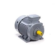 Электродвигатель ESQ PR 225 M4 GST-Б1-S12-IE2 55/1500 IM1001