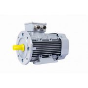 Электродвигатель ESQ PR 90 L2 GST-Б1-S12-IE2 3/3000 IM2081