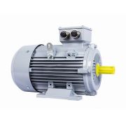 Электродвигатель ESQ PR 100 L6-SDN-Б1-S12-IE3 1,5/1000 IMB3