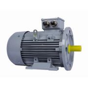 Электродвигатель ESQ PR 100 LA2-SDN-Б1-S12-IE2 3/3000 IMB35