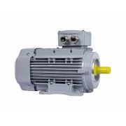 Электродвигатель ESQ PR 100 LB4-SDN-Б1-S12-IE2 3/1500 IMB34