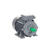 Электродвигатель ESQ TR 132 M2-SDN-IE2 9,2/3000 IMB3