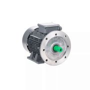 Электродвигатель ESQ TR 160 L2-SDN-Б1-IE2 18,5/3000 IMB35