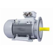 Электродвигатель ESQ PR 160 L2-SDN-Б1-S12-IE2 18,5/3000 IMB35