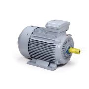 Электродвигатель ESQ PR 180 L4-SDN-Б1-S12-IE3 22/1500 IMB3
