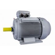 Электродвигатель ESQ PR 280 S6-SDN-Б1-S12-IE2 45/1000 IMB3