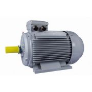 Электродвигатель ESQ PR 315 M4-SDN-Б1-S12-IE2 132/1500 IMB3