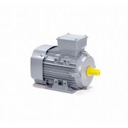 Электродвигатель ESQ PR 80 A4-SDN-Б1-S12-IE2 0,55/1500 IMB3