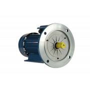 Электродвигатель 5АИ 90 L2 Ж У2 3/3000 IM2081