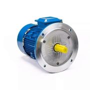 Электродвигатель 5АИ 80 А6 ET2 0,75/1000 IM3081