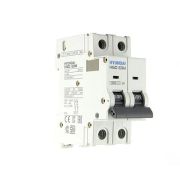 Автоматический выключатель HGD63-M 2PMDS0000C D 2P 4А 6kA (STANDARD)