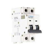 Автоматический выключатель HGD63P 2PMBS0000C B 2P 4А 10kA (STANDARD)