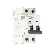 Автоматический выключатель HGD63H 2PMDS0000C D 2P 4А 10kA (DELUXE)