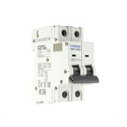 Автоматический выключатель HGD63-M 2PMDS0000C D 2P 10А 6kA (STANDARD)