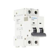 Автоматический выключатель HGD100S 2PMСS0000C C 2P 80А 10kA (STANDARD)