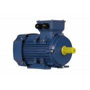 Эл.двигатель 5АИ 80 А8 0.37/750 IM 1081