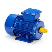 Эл.двигатель 5АИ 71 А6 0.37/1000 IM 1081