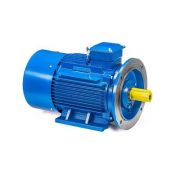 Эл.двигатель 5АИ 200 L2 45/3000 IM 2001