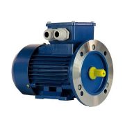 Эл.двигатель 5АИ 50 МА4 0.06/1500 IM 2081