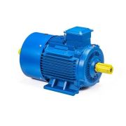 Эл.двигатель 5АИ 180 М4 30/1500 IM 1002