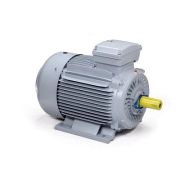 Эл.двигатель ESQ PR 180 L6-SDN-Б1-S12-IE3 15/1000 IM B3