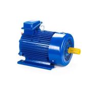 Эл.двигатель 5МТКН 225 L6 55/1000 IM 1003