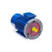 Эл.двигатель 5АИ 100 L8 ED2 1.5/750 IM 2081