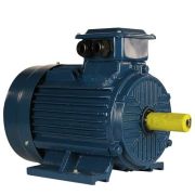 Эл.двигатель 5АИ 132 М4 ET 11/1500 IM 1081