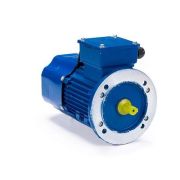 Электродвигатель 5АИ 90 L4 ET 2.2/1500 IM 3081