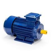 Эл.двигатель 5АИ 71 А2 0.75/3000 IM 1081