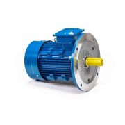 Эл.двигатель 5АИ 100 L4 4/1500 IM 3081