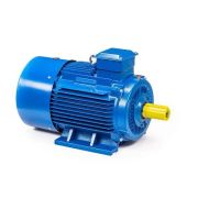 Эл.двигатель 5АИ 200 L8 22/750 IM 1001