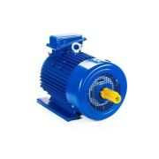 Эл.двигатель 5МТКН 312-6 15/1000 IM 1001